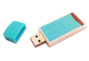 Flash memory software protection dongle